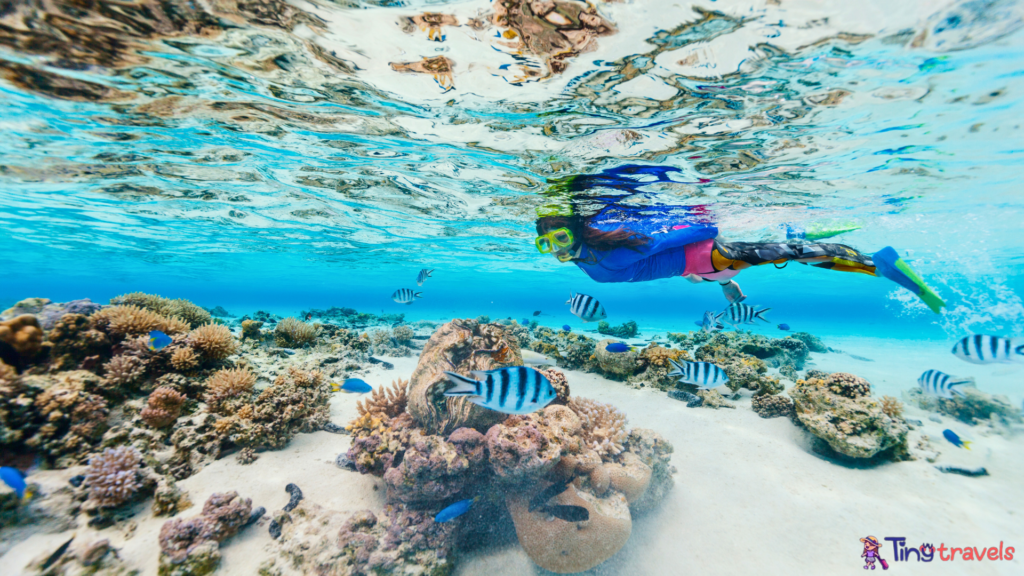 Snorkeling Destinations in Thailand