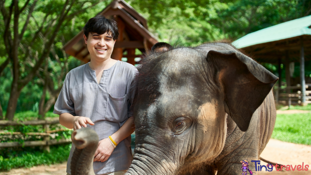 Child-Friendly Elephant Sanctuaries