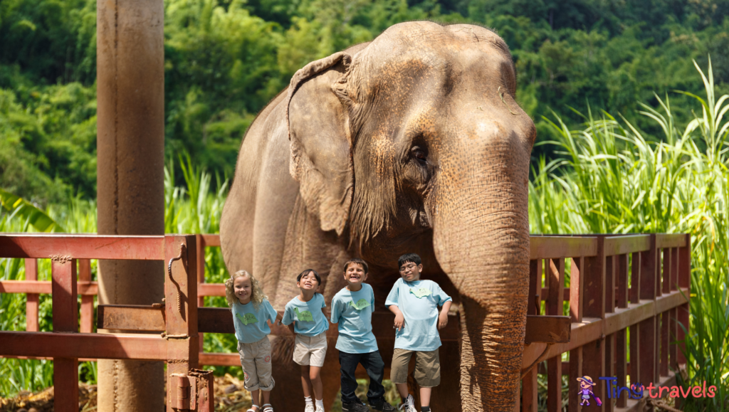 Chiang mai with kids