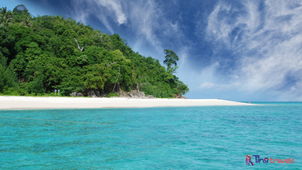 Bamboo Island