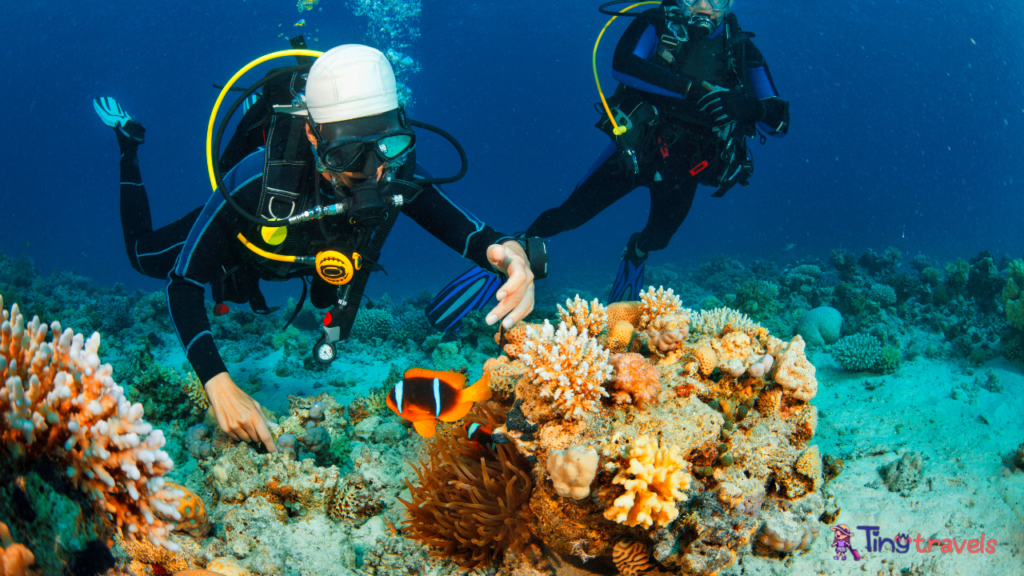 Diving Scene Thailand,  best places to dive in Thailand,  dive in phi phi island,  dive in koh lanta,  