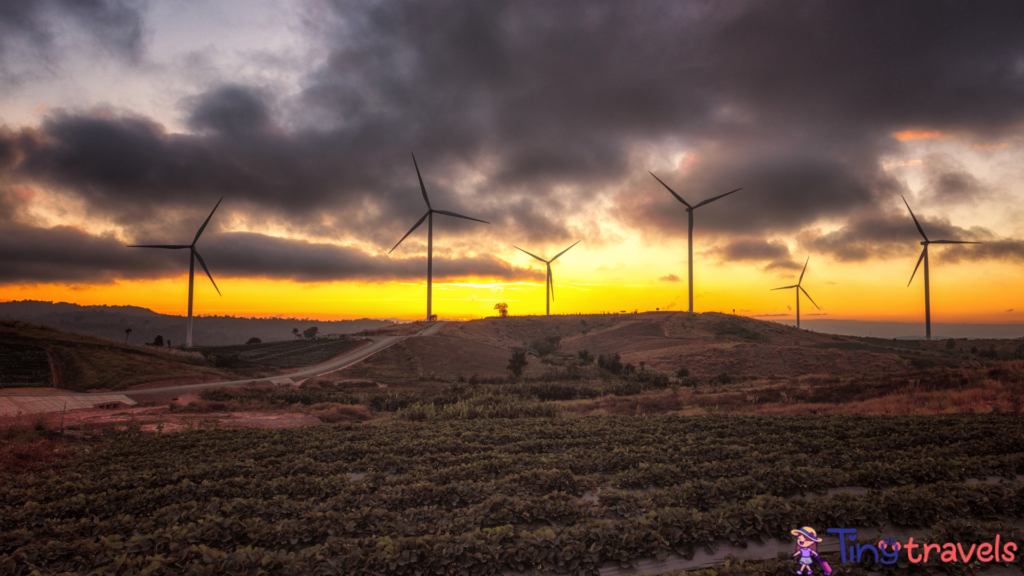 Khao Kho Wind Turbines