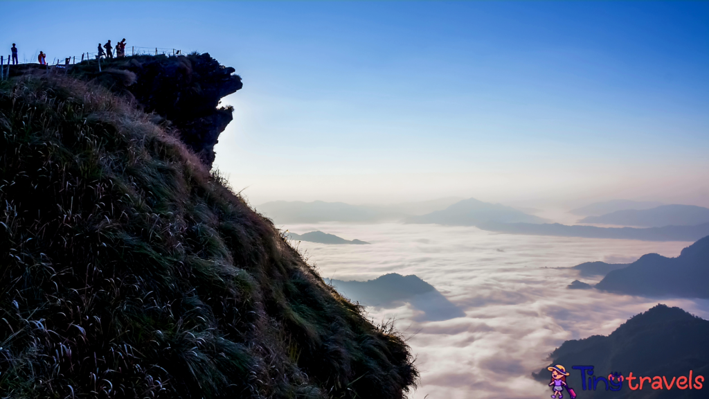 phu chi fa
chiang rai to phu chi fa
phu chi fa from chiang rai
phu chi fa hike
phu chi fa camping