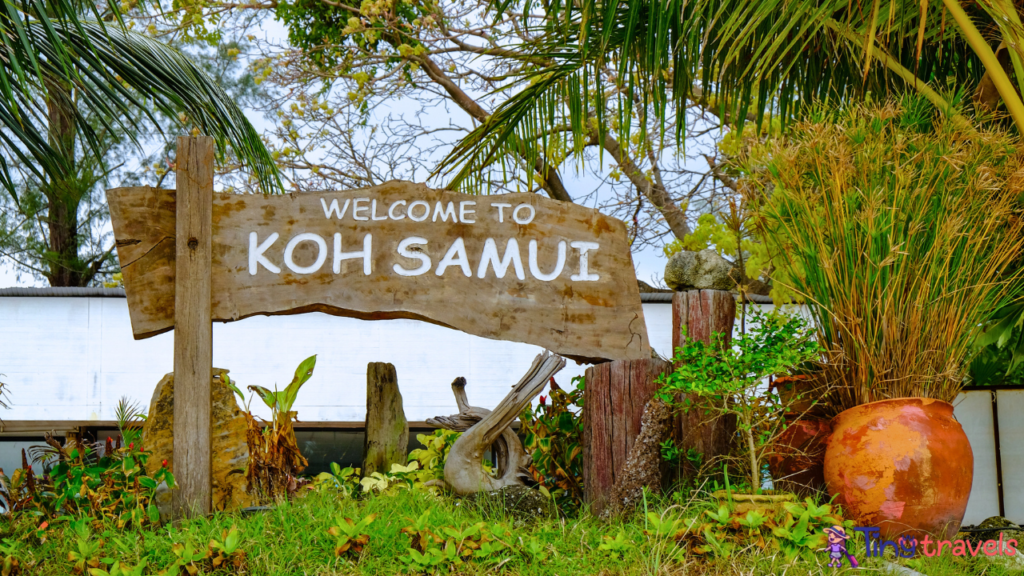 Koh Samui attractions,  koh samui tourist attractions
koh samui attractions things to do
koh samui top attractions
koh samui thailand attractions