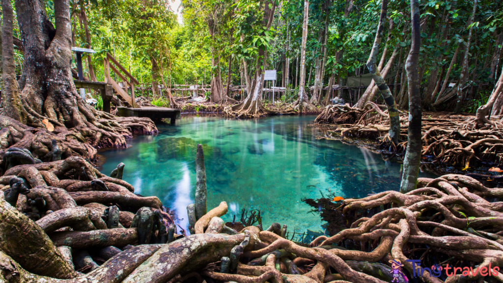 Emerald Pond, Krabi