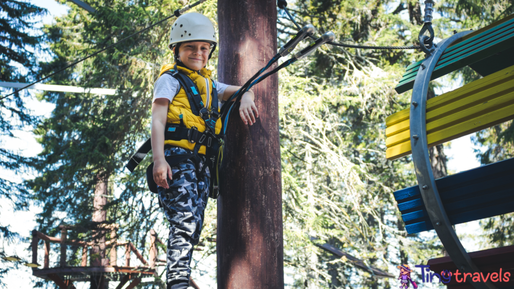 Treetop Adventure