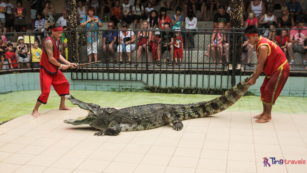 phuket zoo