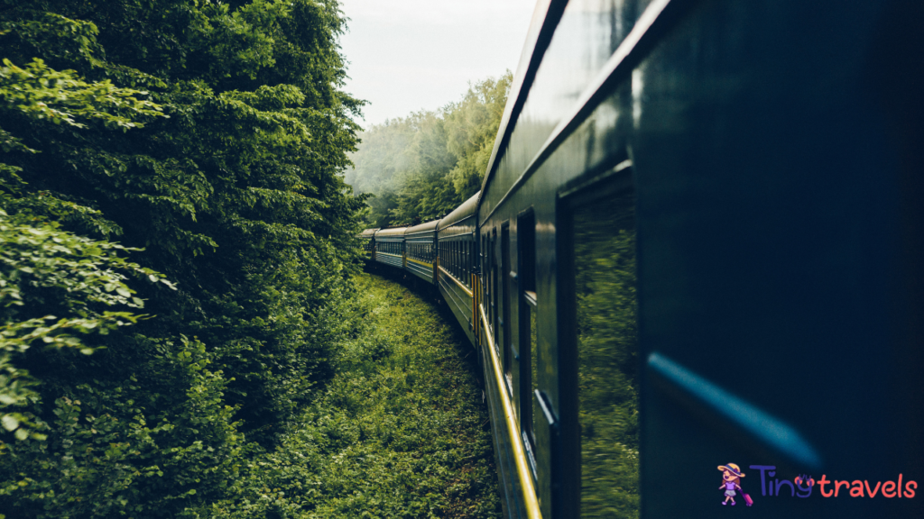 View from train