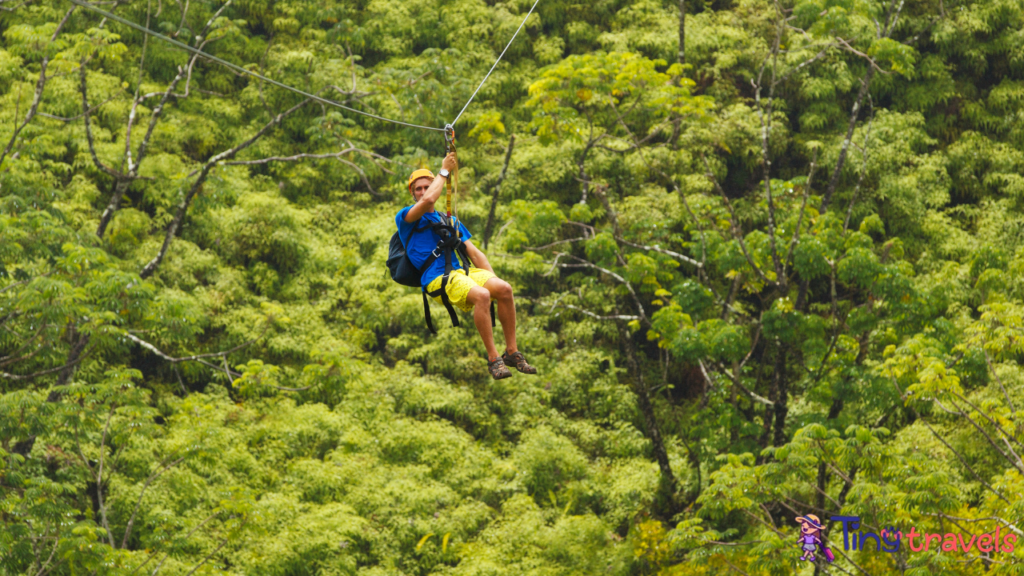 Eagle Track Zipline