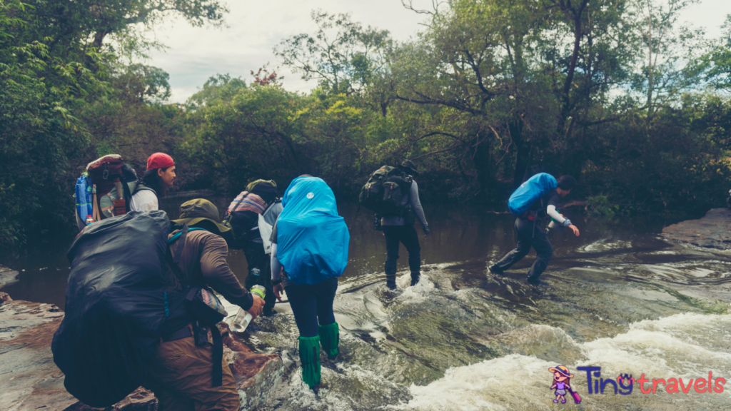 Hiking And Trekking