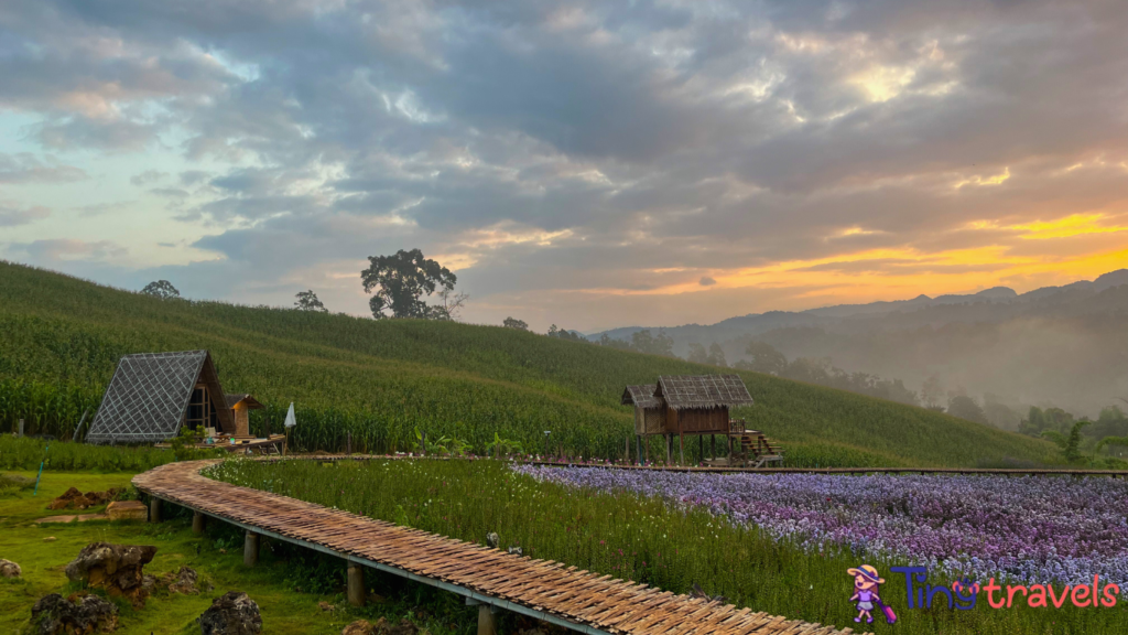 Beautiful peaceful garden at Phu Pha Muak homestay in Chiang Dao district, Thailand⁠