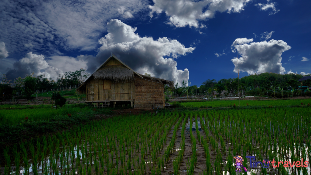 homestay farmer village in thailand⁠