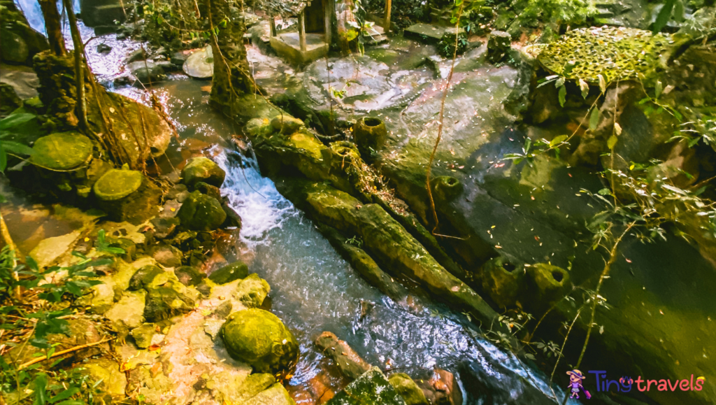 Secret buddha garden 