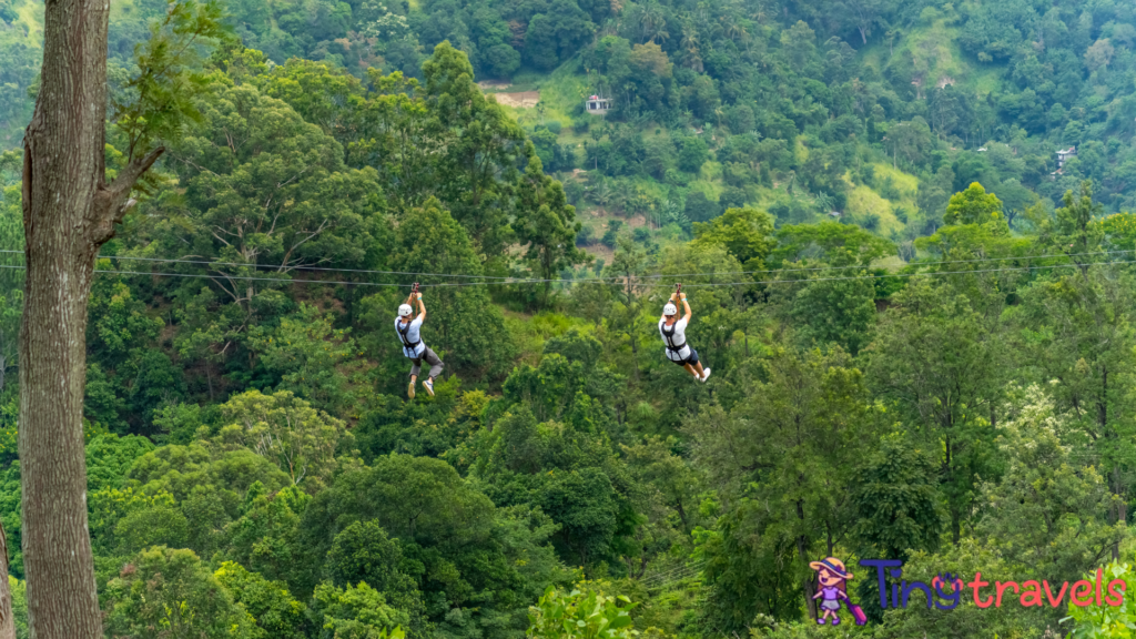 flight of the gibbon zipline in chiang mai province