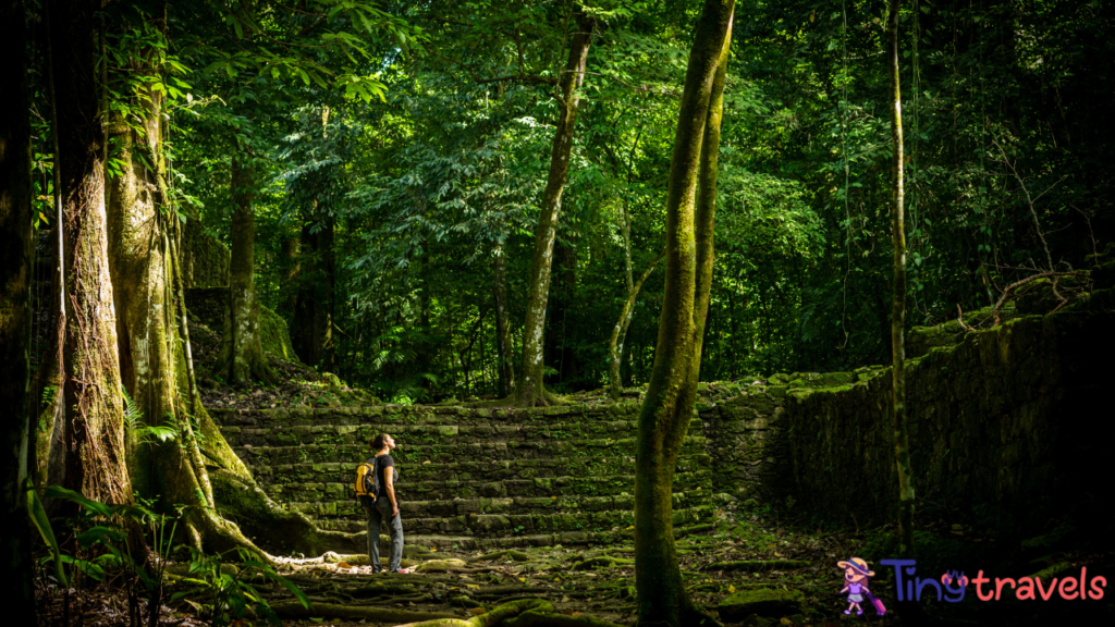 Jungle trekking Thailand