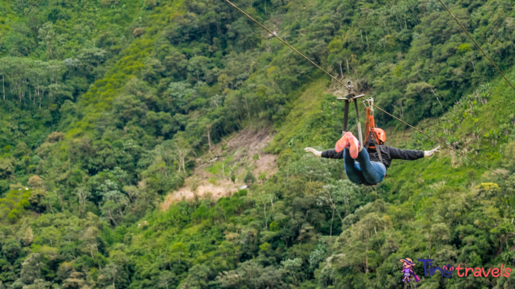 Flight Of The Gibbon