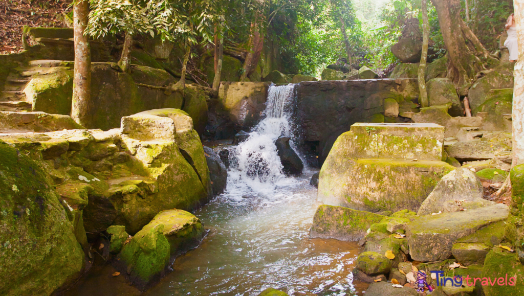 The Secret Buddha Garden 