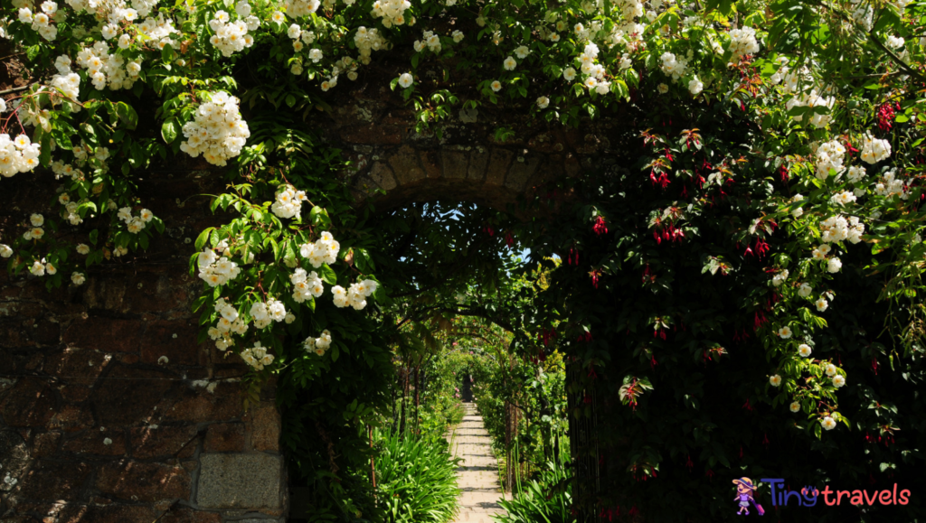 Secret Buddha Garden