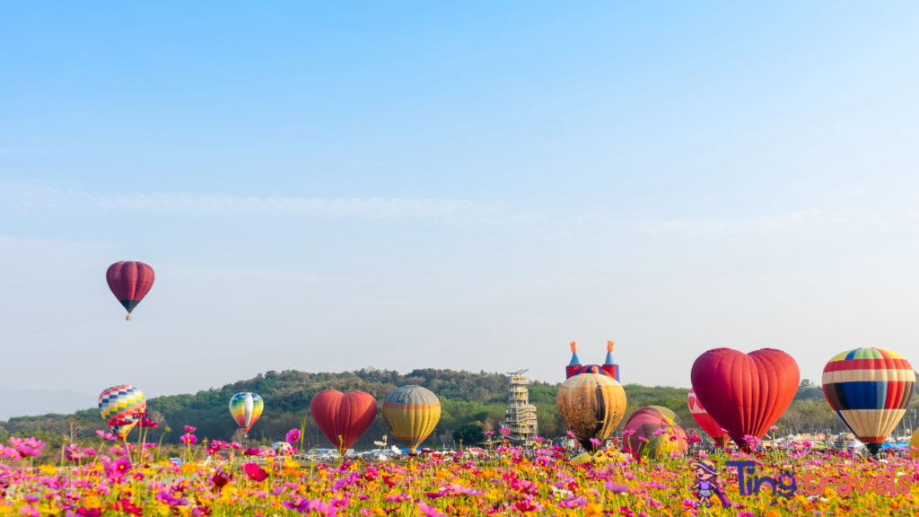 Colourful hot air balloons flying at Singh Park in Chiang Rai, Thailand.⁠