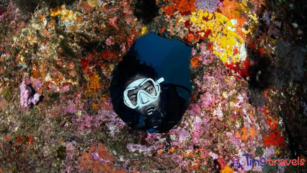 Diving At Elephant Head Rock (Hin Pusar)