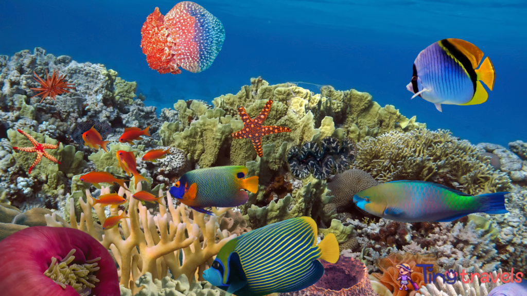 Coral garden with starfish and colorful tropical fish⁠