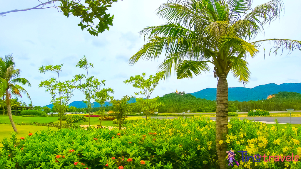 Ko Samui ,Thailand - Runway of Samui Island Domestic Airport in sunny day⁠