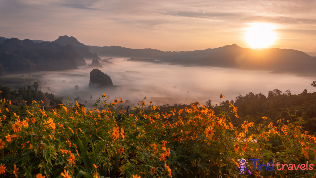 Phu lang ka with foggy, Phayao, Magic mountain, Thailand⁠
