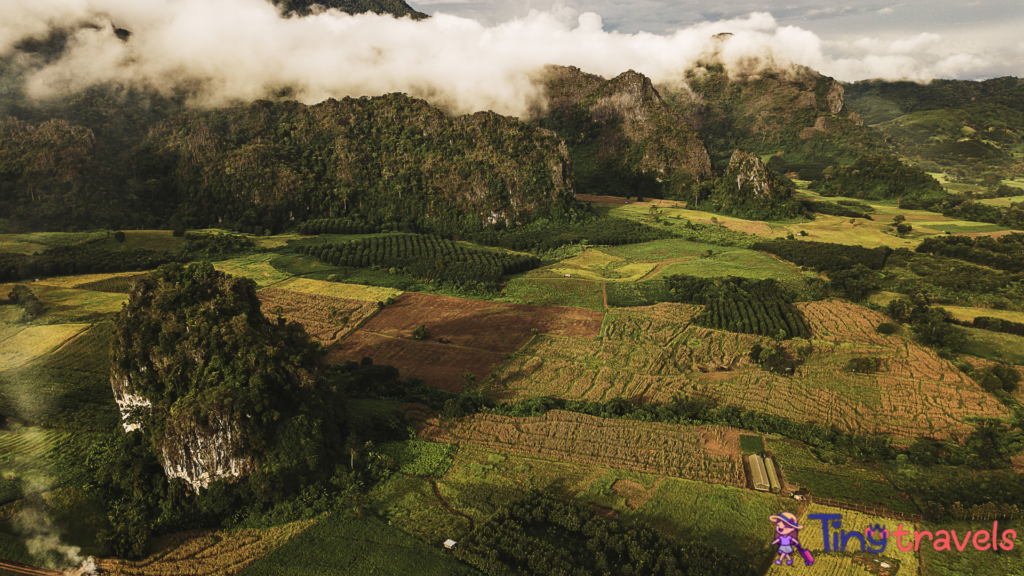 Landscape of Phu Lanka mountain forest park in Phayao province Thailand .⁠
