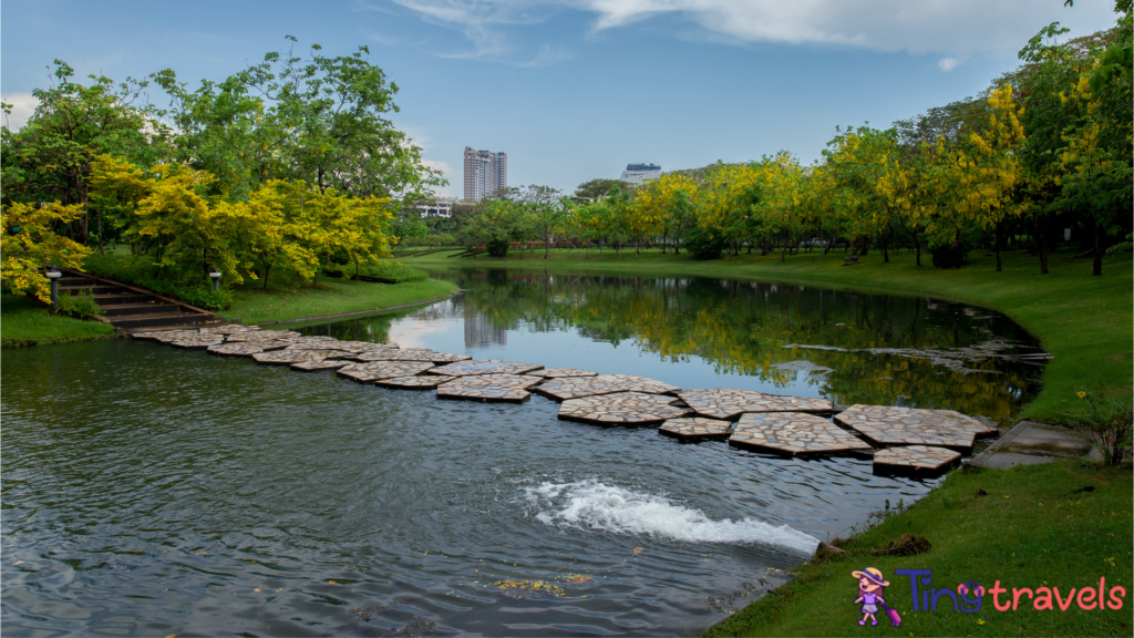 Asia, Bangkok, Lumpini Park, Southeast Asia, Thailand⁠
