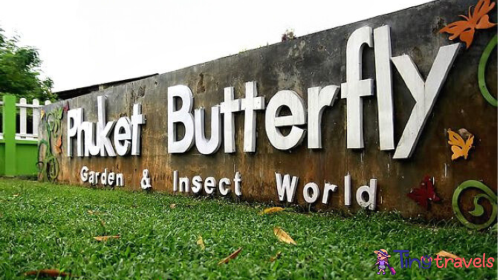 Phuket Butterfly Garden & Insect World