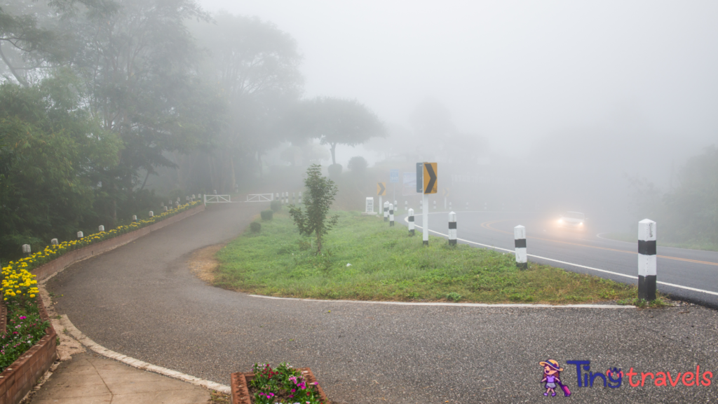 Road with mist in winter season at Phayao province⁠
