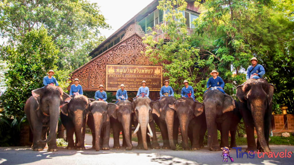 Elephant village, Thailand⁠