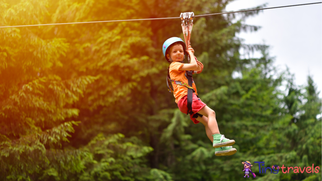 Zip-lining: Soar Through the Treetops