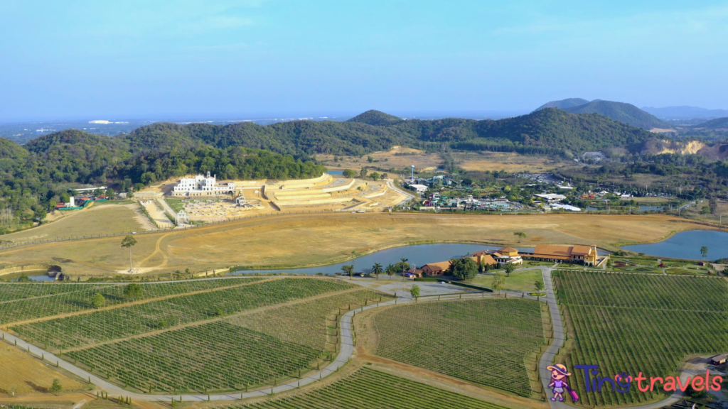 View point of Silverlake Grape Farm with mountain and beautiful sky background at Pattaya,Thailand⁠