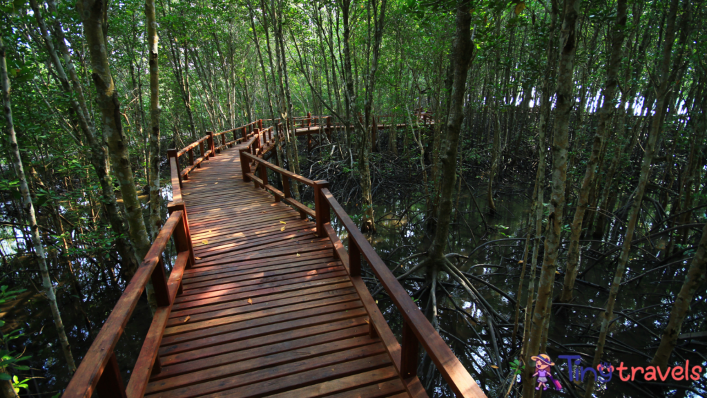 Mu Ko Chumphon National Park⁠
