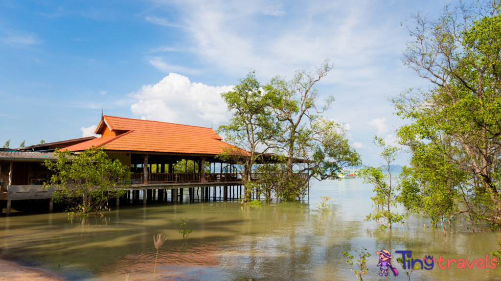 Landscape Koh Lanta Old Town⁠