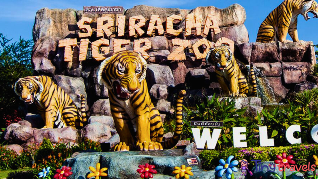 Sriracha Tiger Zoo