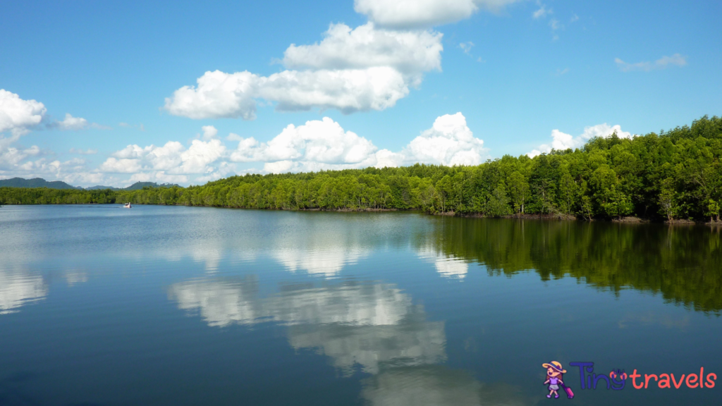 Mangroves in Koh Lanta, landscape Thailand⁠
