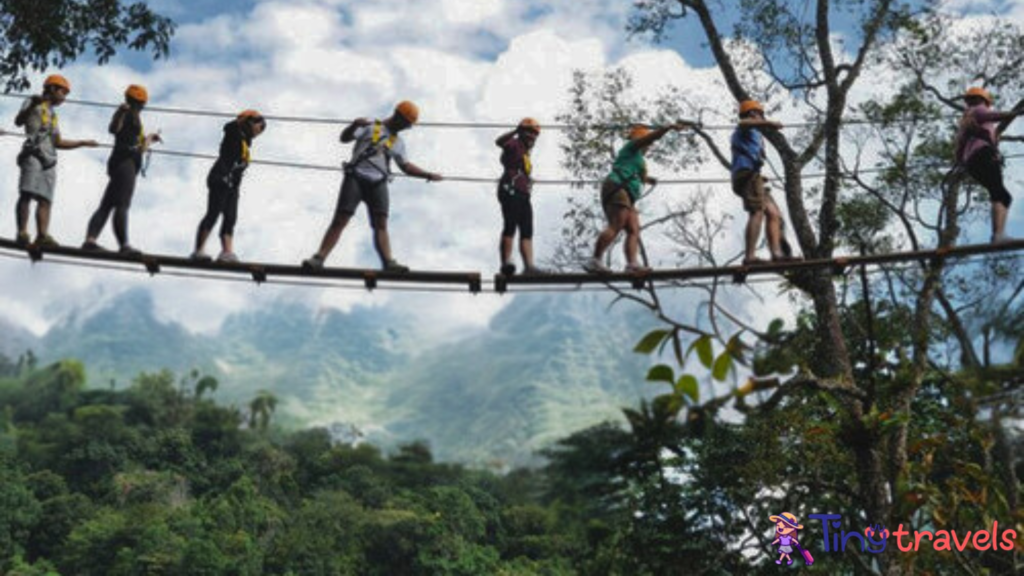 Dragon Flight Zipline