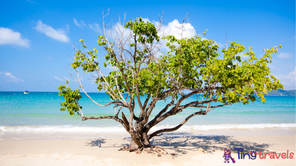 Koh Samet