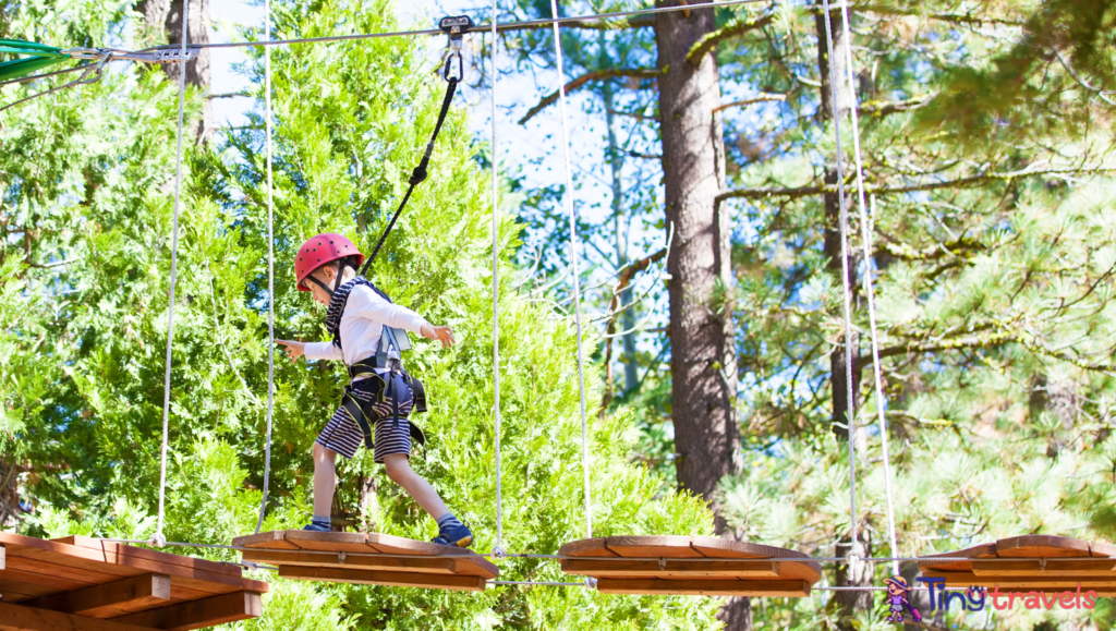 Treetop adventures 