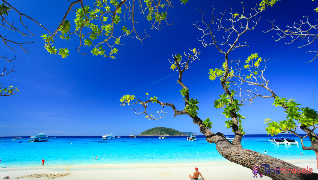 Donald Duck Bay In The Similan Island 