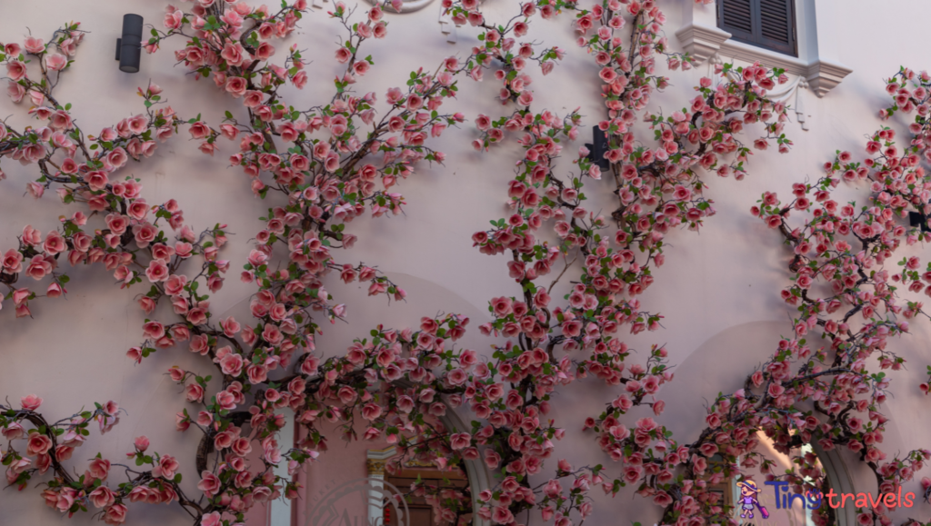 Phuket Old Town - Pink Roses⁠