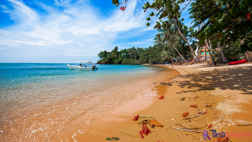 Ao Tan Khu Bay