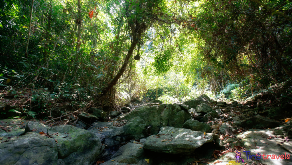 Jungle trekking on Koh Chang⁠