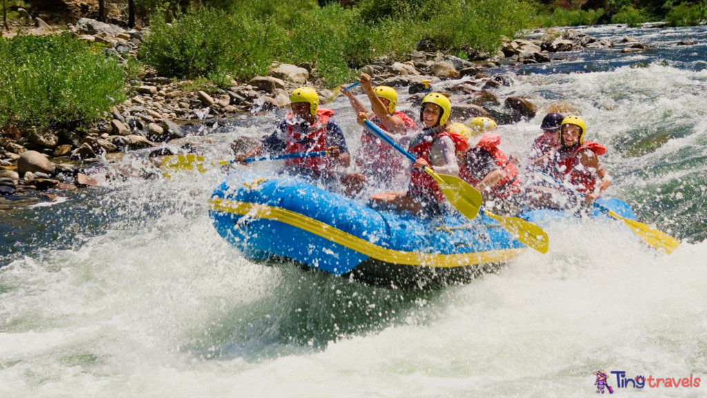 People whitewater rafting⁠