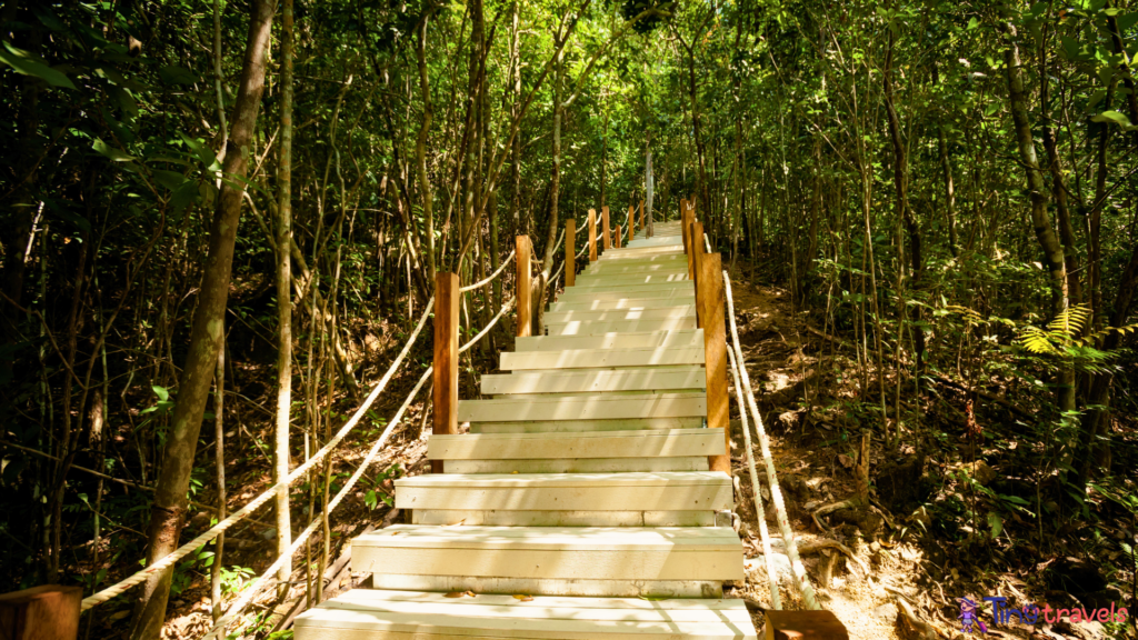 Jungle trekking on Koh Phangan⁠