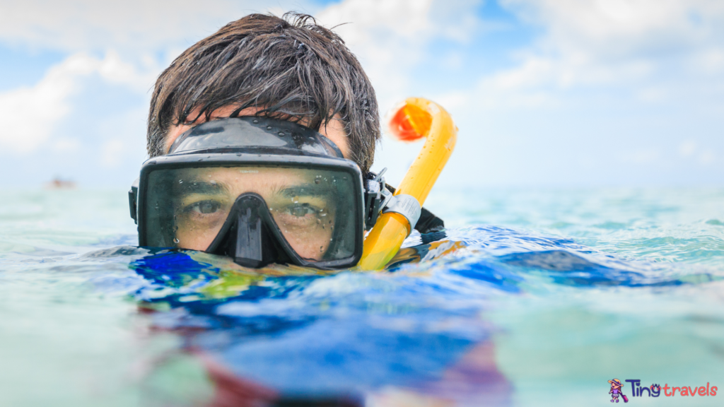 Snorkelling 