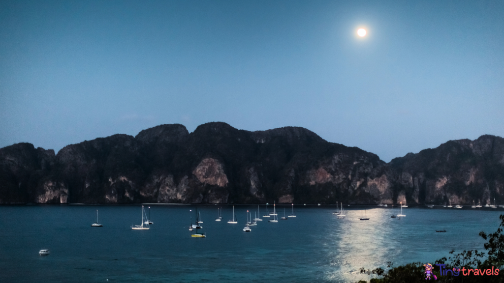 phi phi island night life
phi phi island at night
things to do in phi phi island at night
