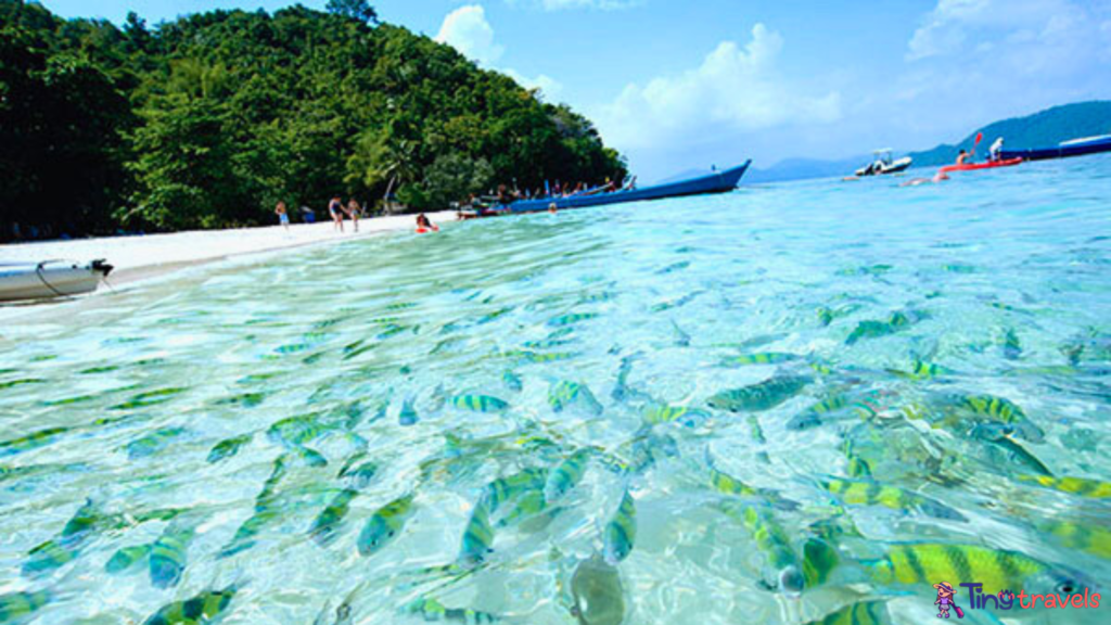 Coral Island (Koh Hae)